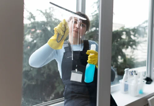 Nettoyage de vitres intérieures et extérieures à Douzillac